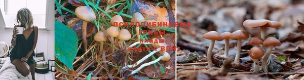 MESCALINE Верхний Тагил