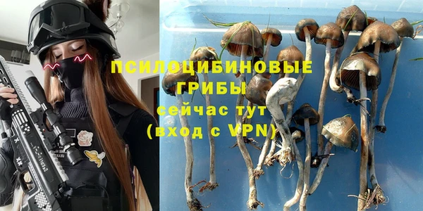 MESCALINE Верхний Тагил