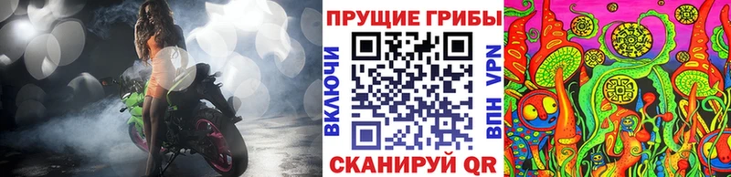 Галлюциногенные грибы Psilocybe  Балаково 